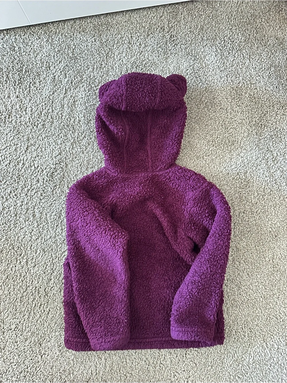 Patagonia Kids Berry Fig Fleece Hoodie
